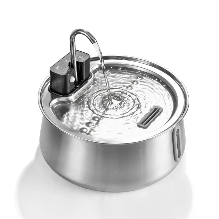 Die Pfotenquelle 4L 2.0
