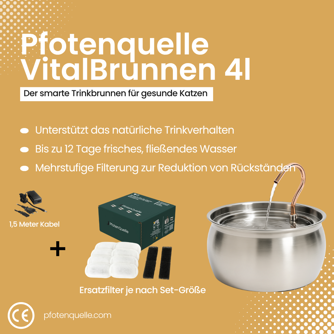 Die Pfotenquelle 4L