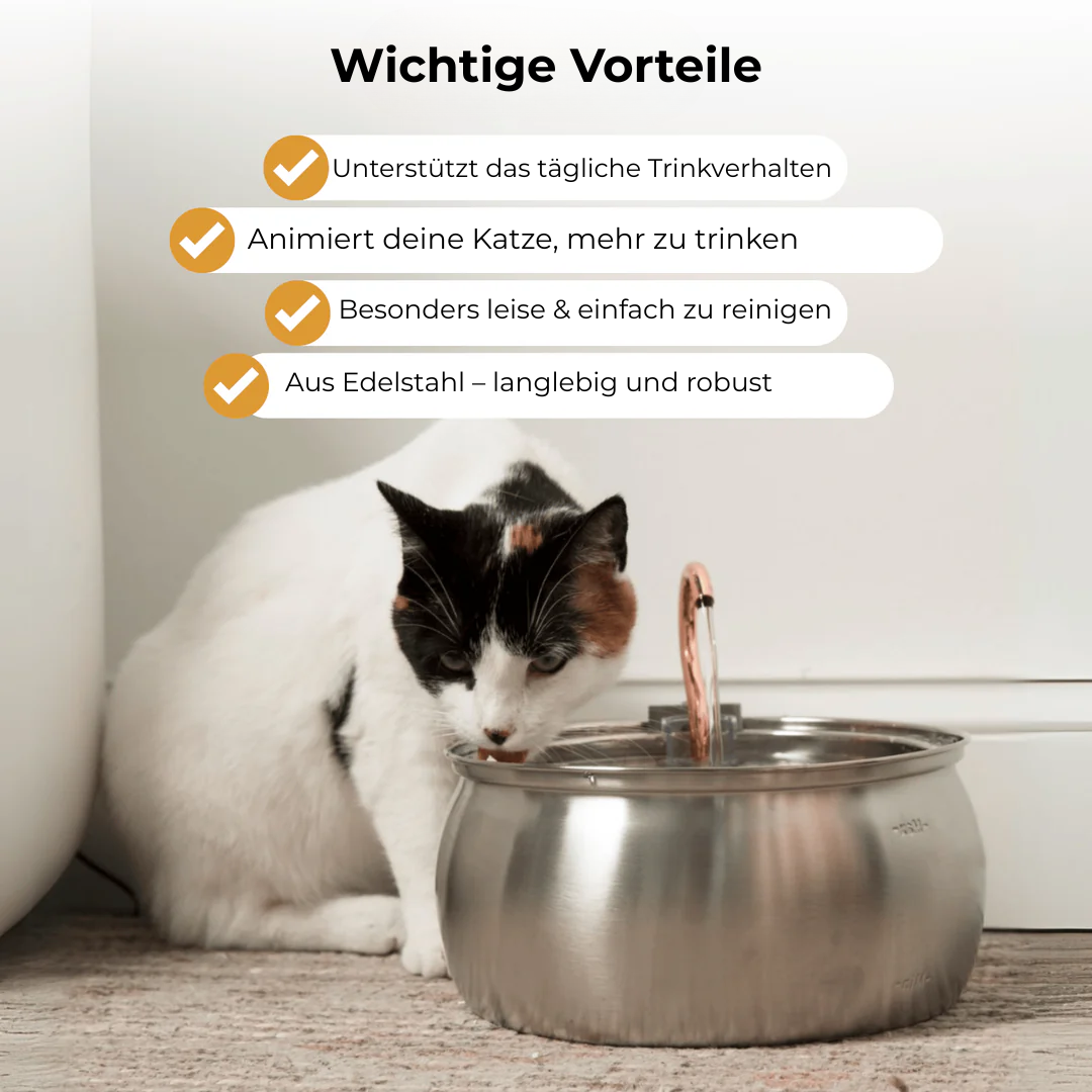 Die Pfotenquelle 4L