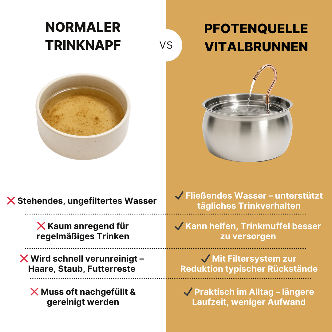 Die Pfotenquelle 4L