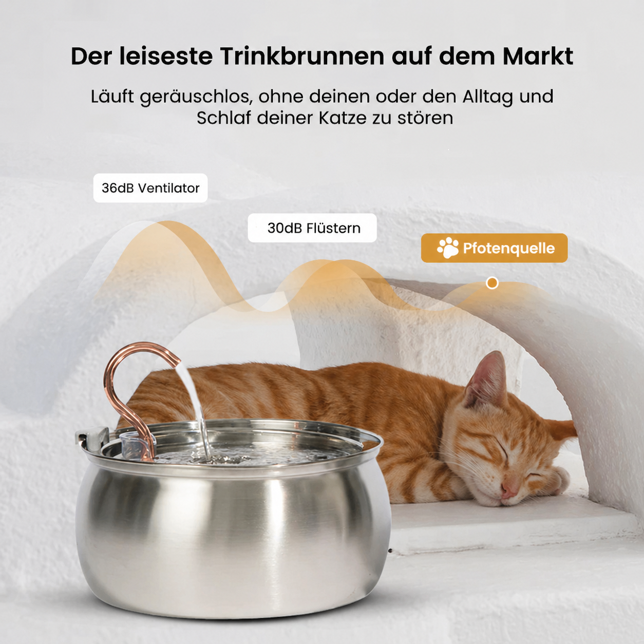 Die Pfotenquelle 4L