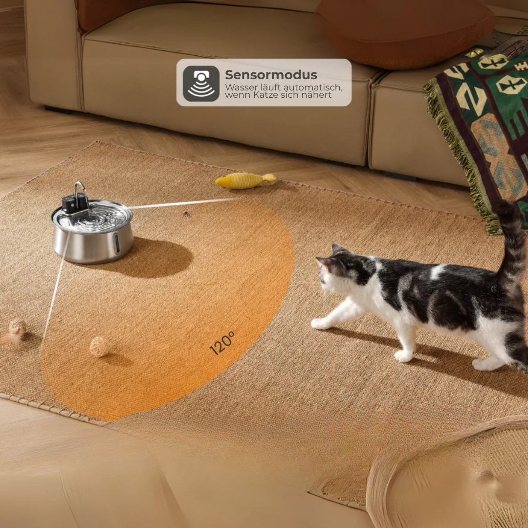 Die Pfotenquelle 4L Wireless 2.0